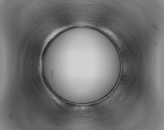 X0000115101286200911101537