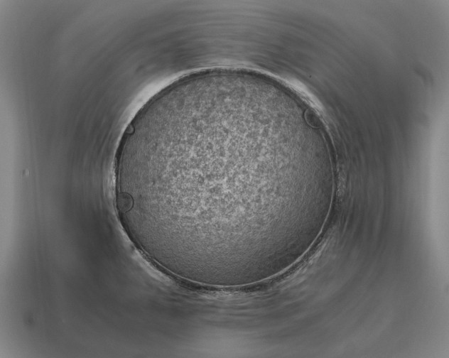 X0000115101287200911101537