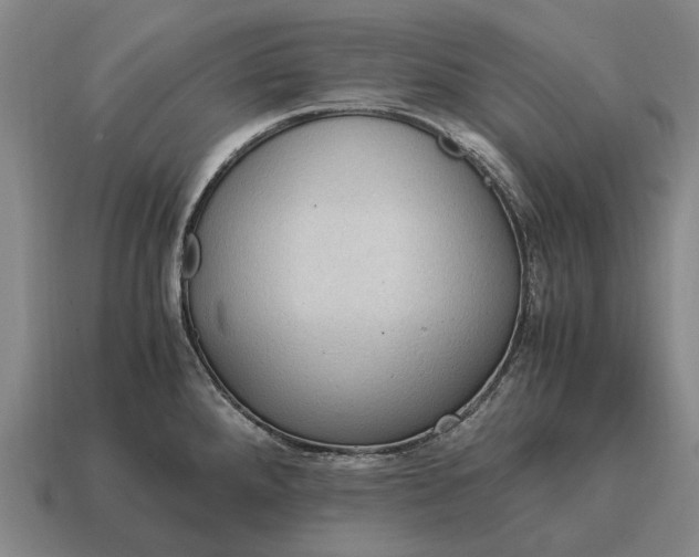 X0000115101288200911101537