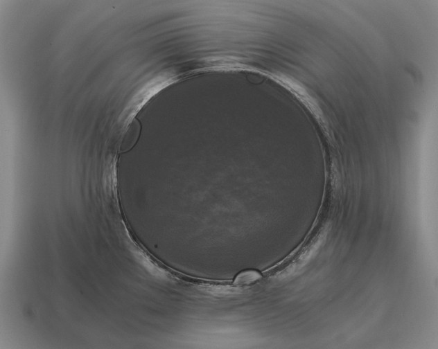X0000115101289200911101537