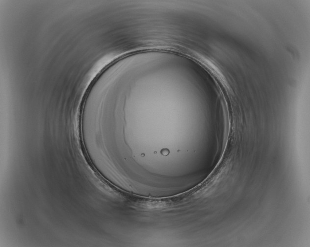X0000115101291200911101537