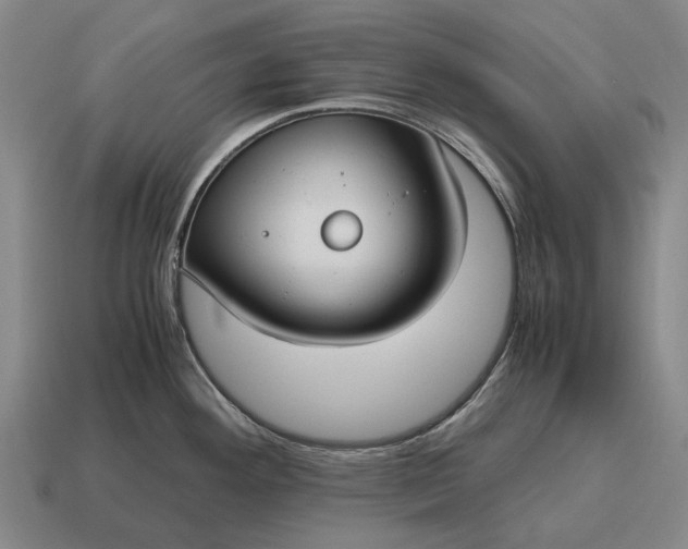 X0000115101292200911101537
