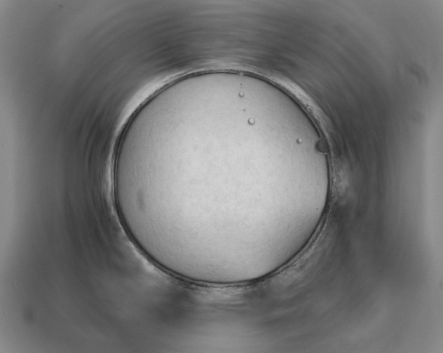 X0000115101294200911101537