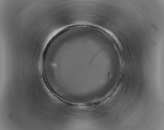 X0000115101295200911101537