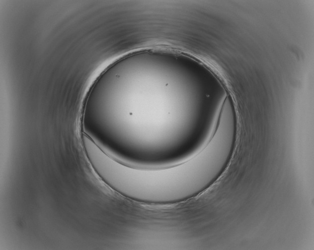 X0000115101296200911101537