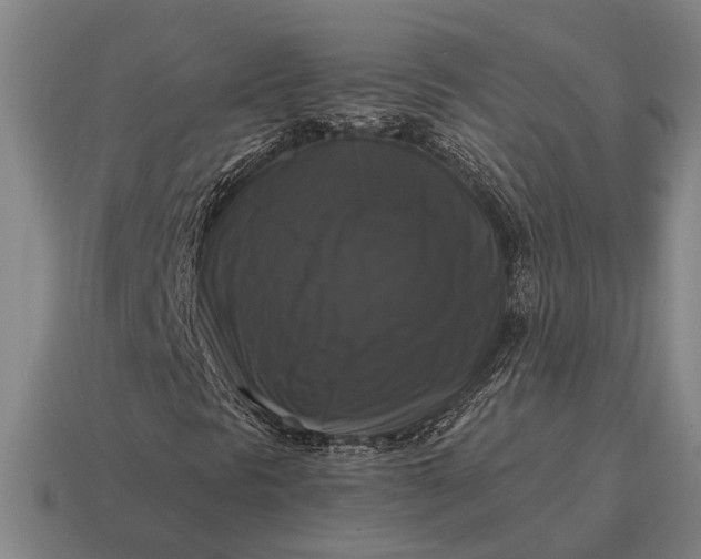 X0000115101297200911101536