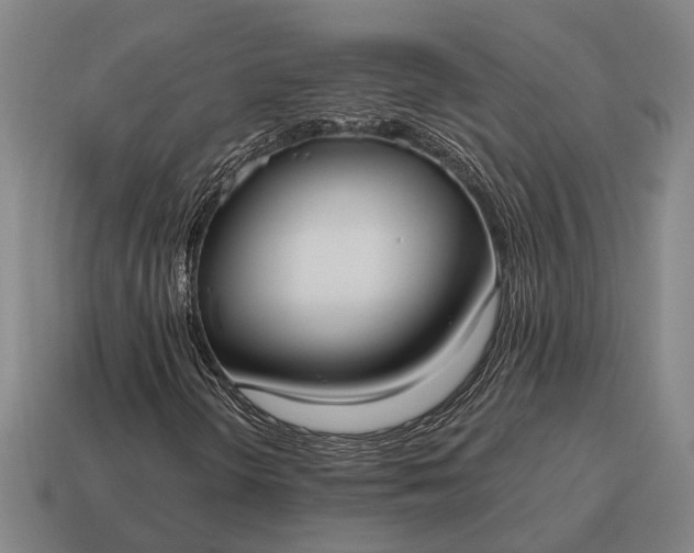 X0000115101298200911101536