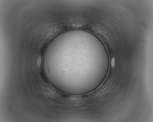 X0000115101299200911101536