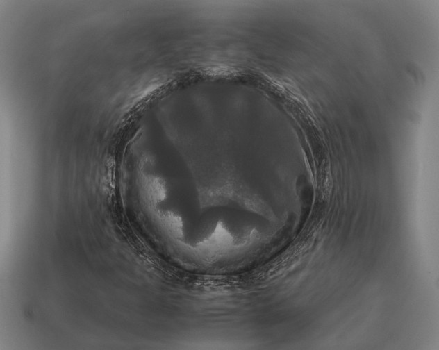 X0000115101301200911101536