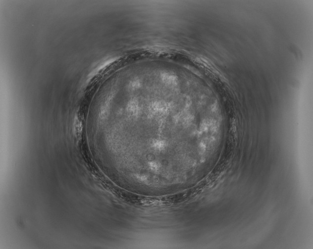 X0000115101302200911101536
