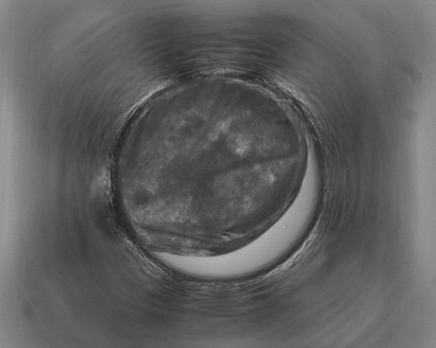 X0000115101305200911101536