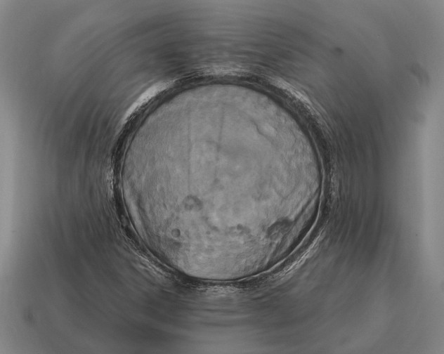 X0000115101306200911101536