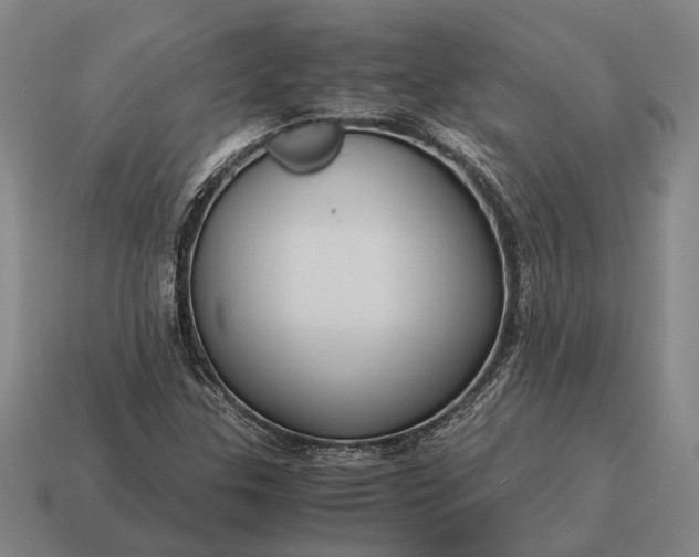 X0000115101307200911101536
