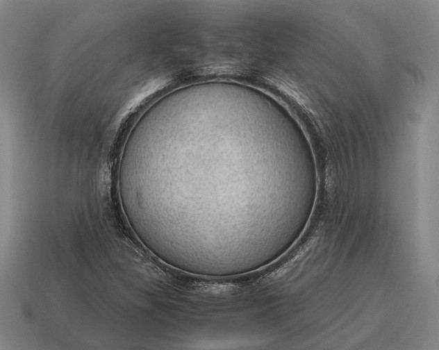 X0000115101309200911101536