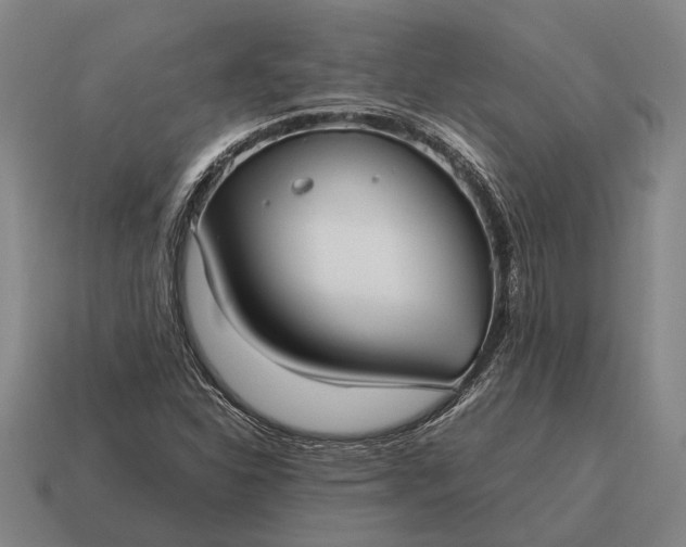 X0000115101310200911101536