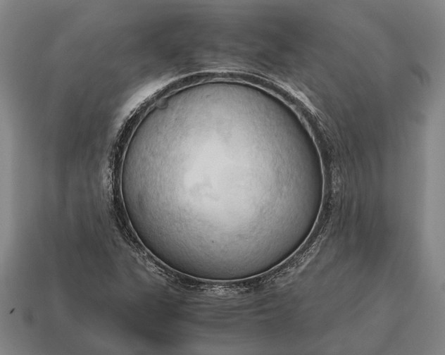 X0000115101311200911101536