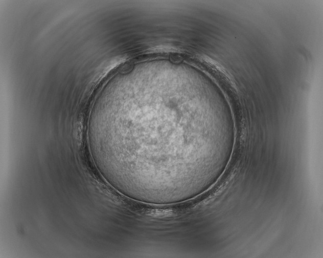 X0000115101313200911101536