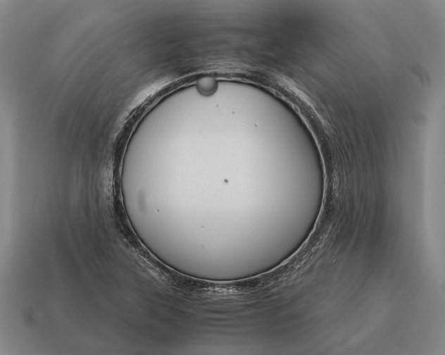X0000115101315200911101536
