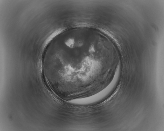 X0000115101317200911101536