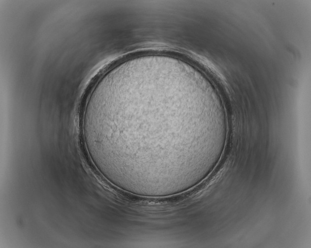 X0000115101318200911101537