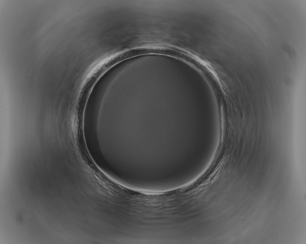 X0000115101319200911101537