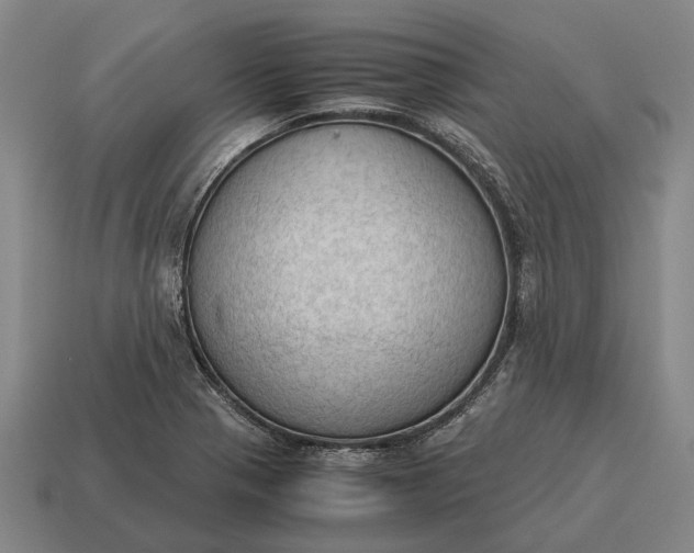 X0000115101321200911101537