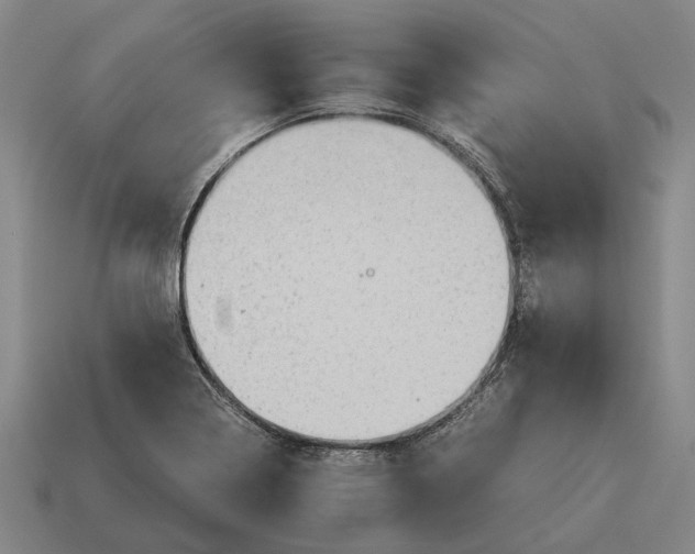 X0000115101322200911101537