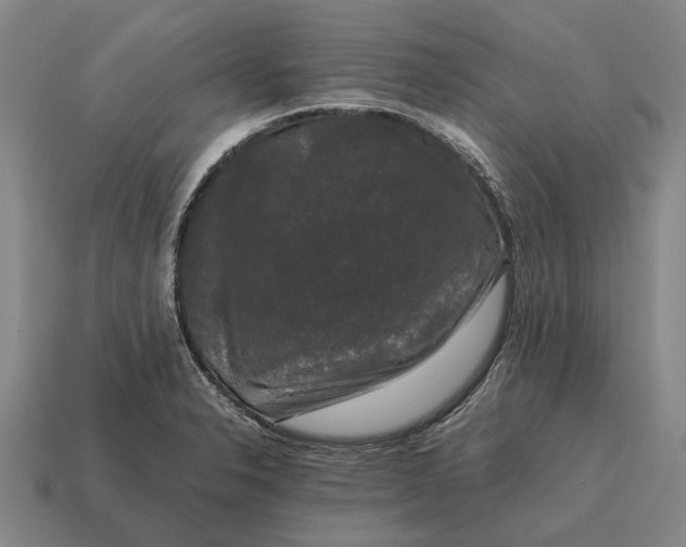 X0000115101326200911101537
