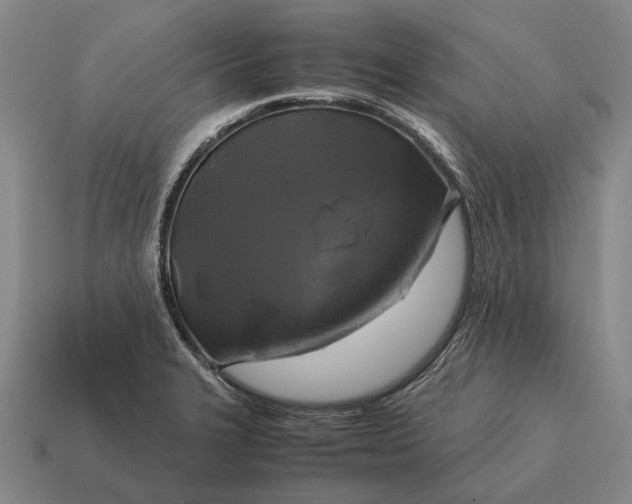 X0000115101327200911101537