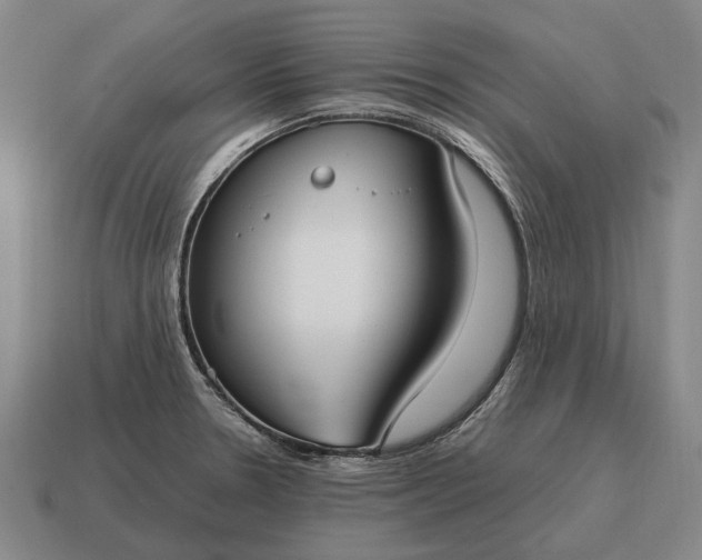 X0000115101330200911101537
