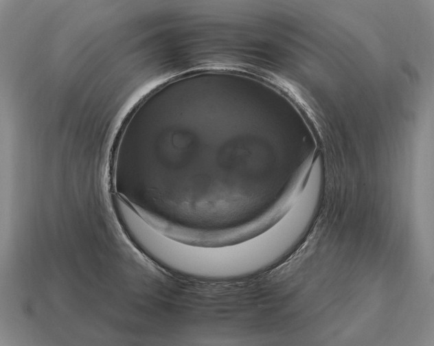 X0000115101331200911101537