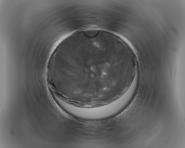 X0000115101333200911101537