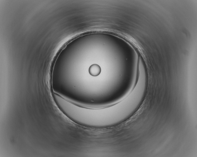 X0000115101334200911101537