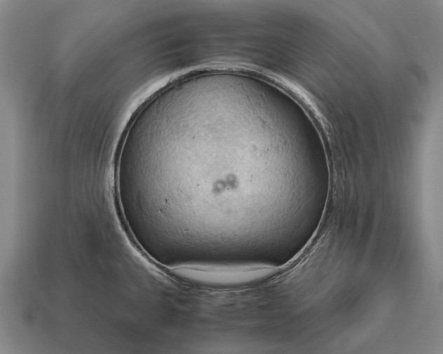 X0000115101335200911101537