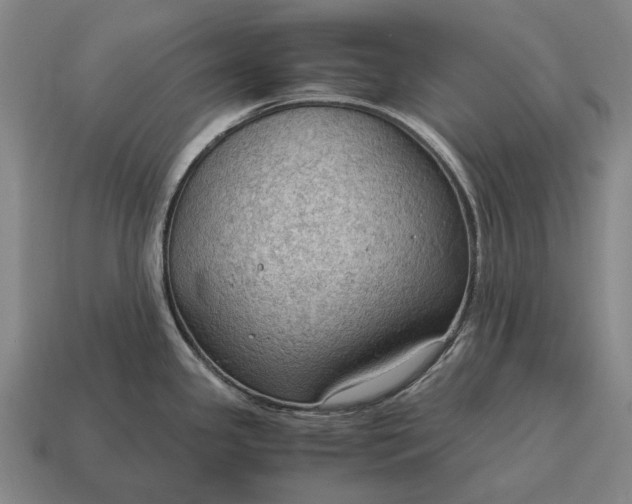 X0000115101341200911101537