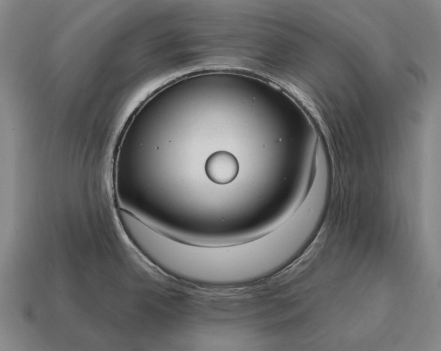 X0000115101342200911101537