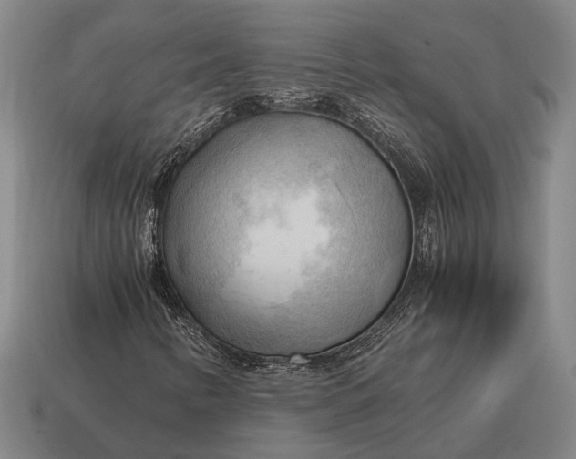 X0000115101346200911101536