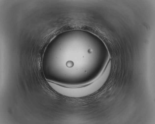 X0000115101348200911101536