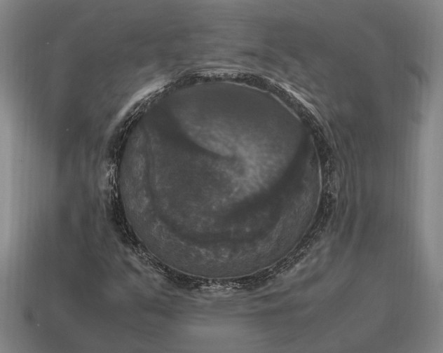 X0000115101351200911101536