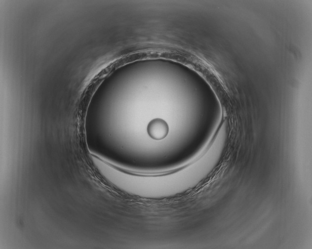 X0000115101352200911101536