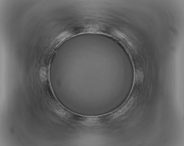 X0000115101353200911101536