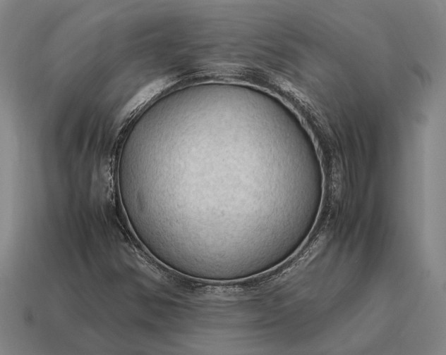 X0000115101354200911101536