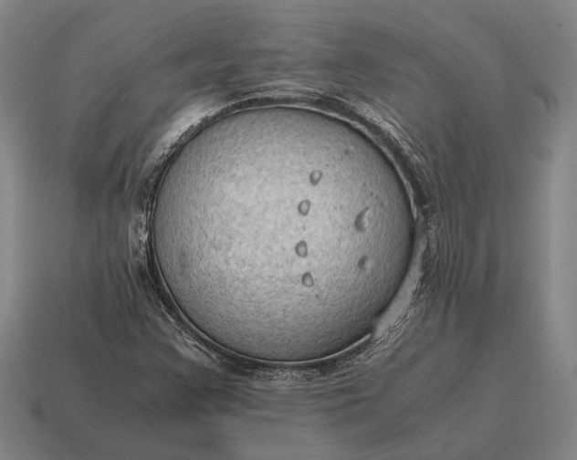 X0000115101355200911101536