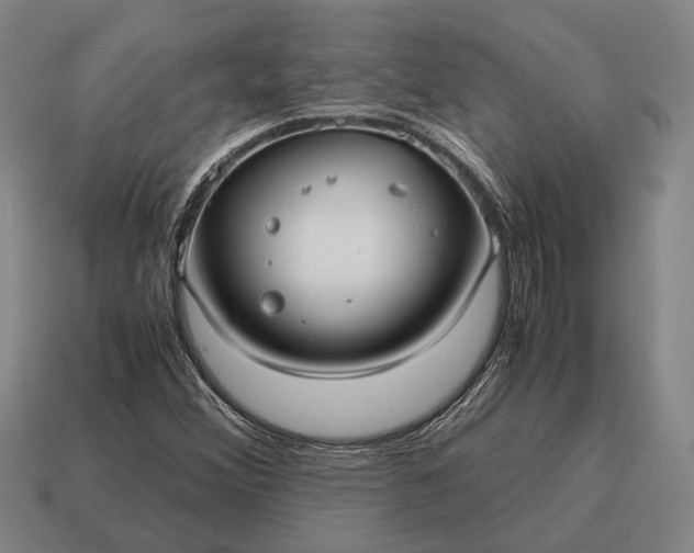 X0000115101356200911101536