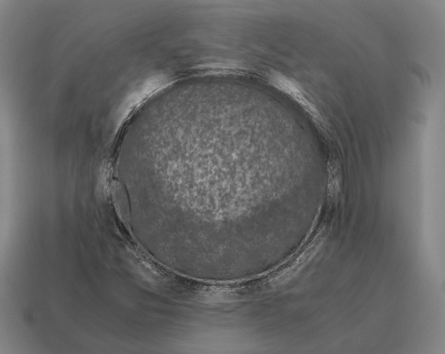 X0000115101357200911101536