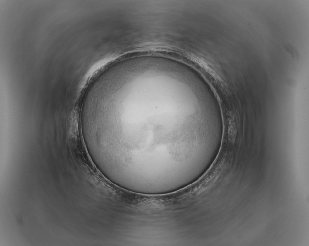 X0000115101358200911101536