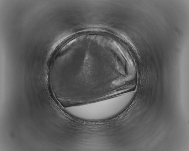 X0000115101360200911101536