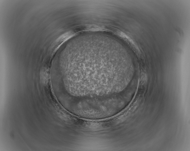X0000115101361200911101536