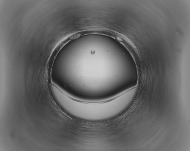 X0000115101364200911101536