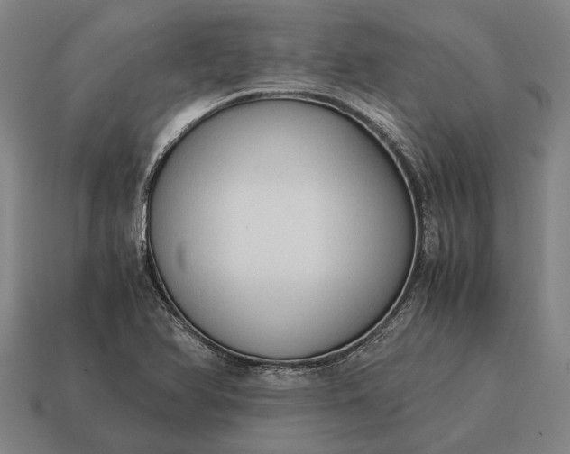 X0000115101366200911101536